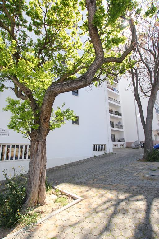 Casa Belavista - Baia Apartment Lagos Exterior photo